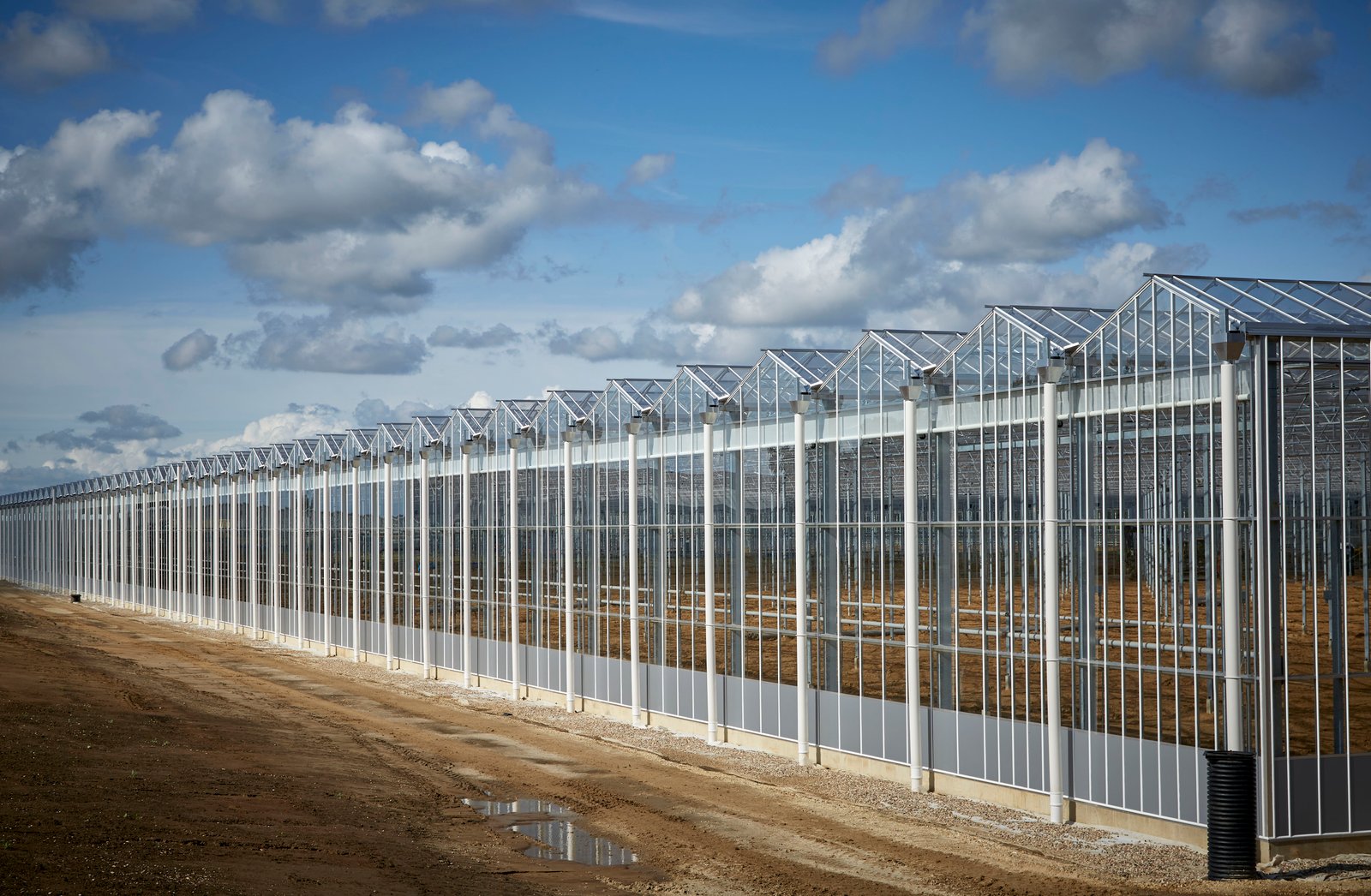 Greenhouse project in Poland