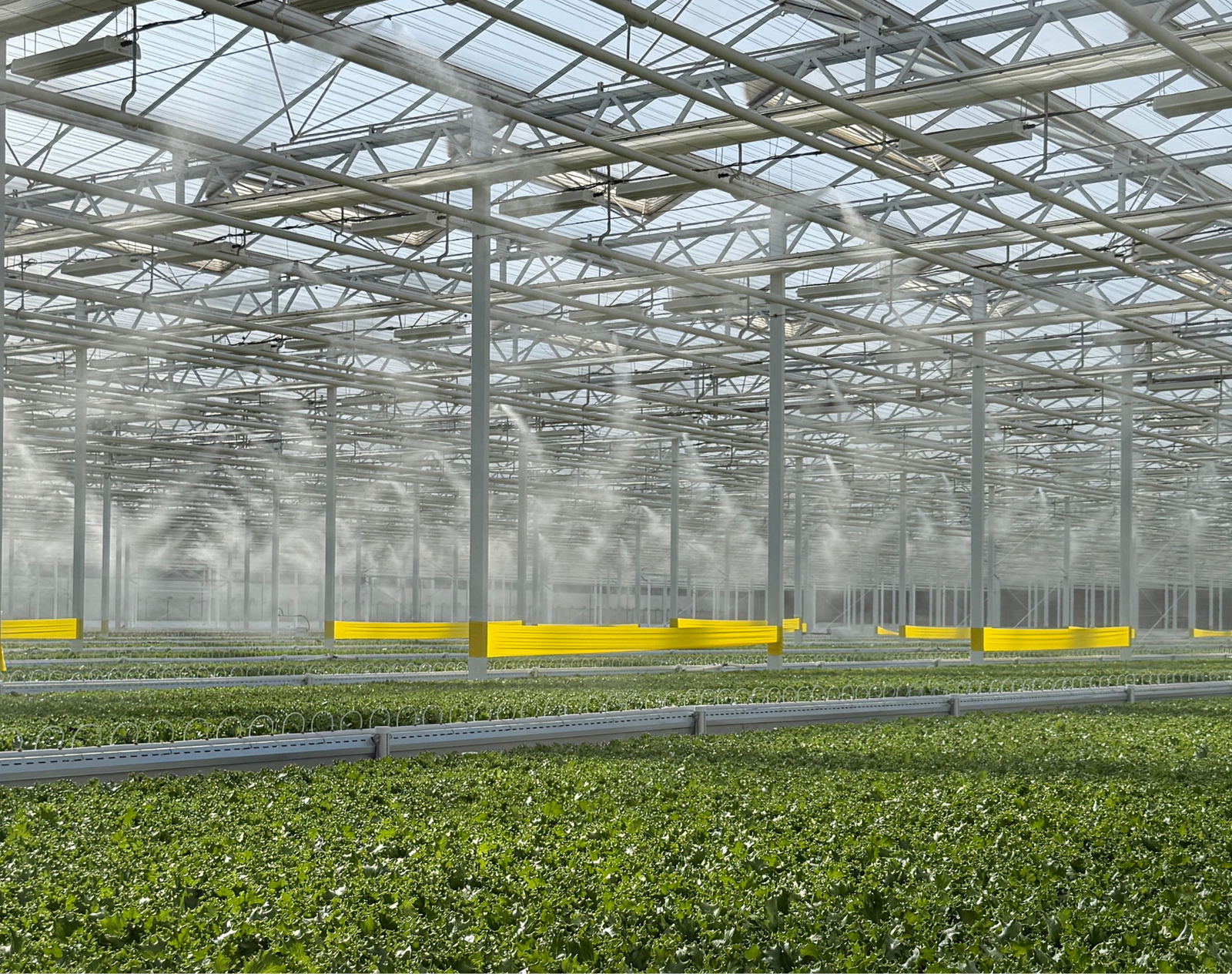 Climate control and misting system inside greenhouse