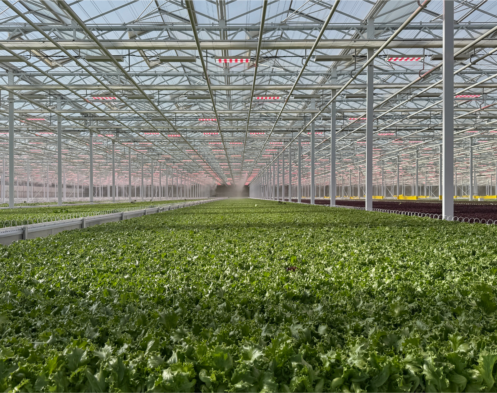 Greenhouse growing system included in complete material package